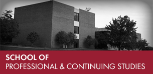 college of professional and continuing studies