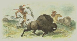 Darley The Buffalo Hunt Print