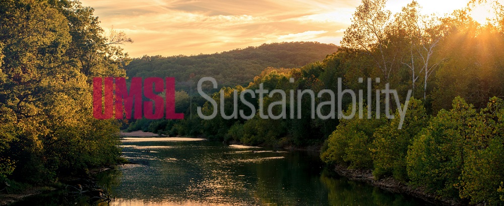 sustainability cover image