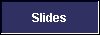  Slides 