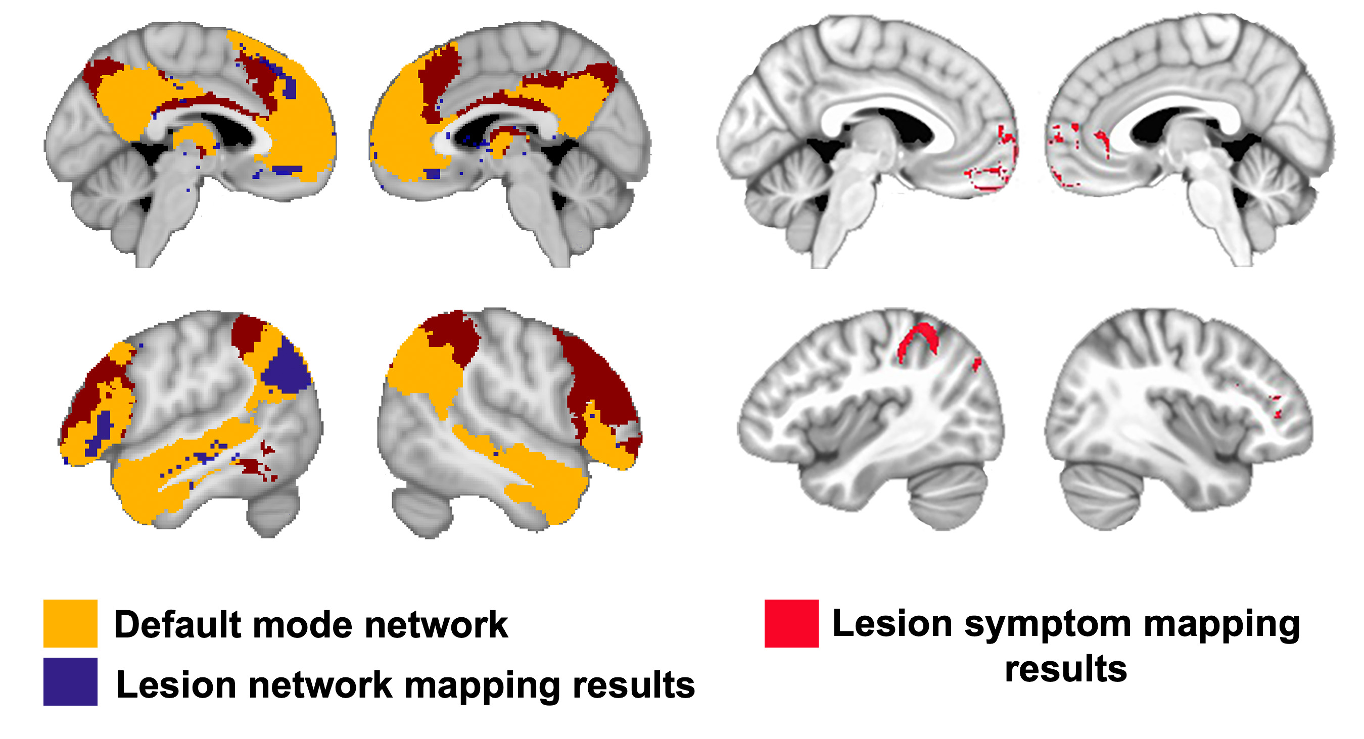 mw-study-figure.jpg