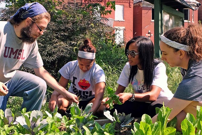 Students gardening