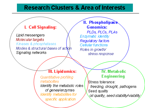 Research Areas for Mr. Wang