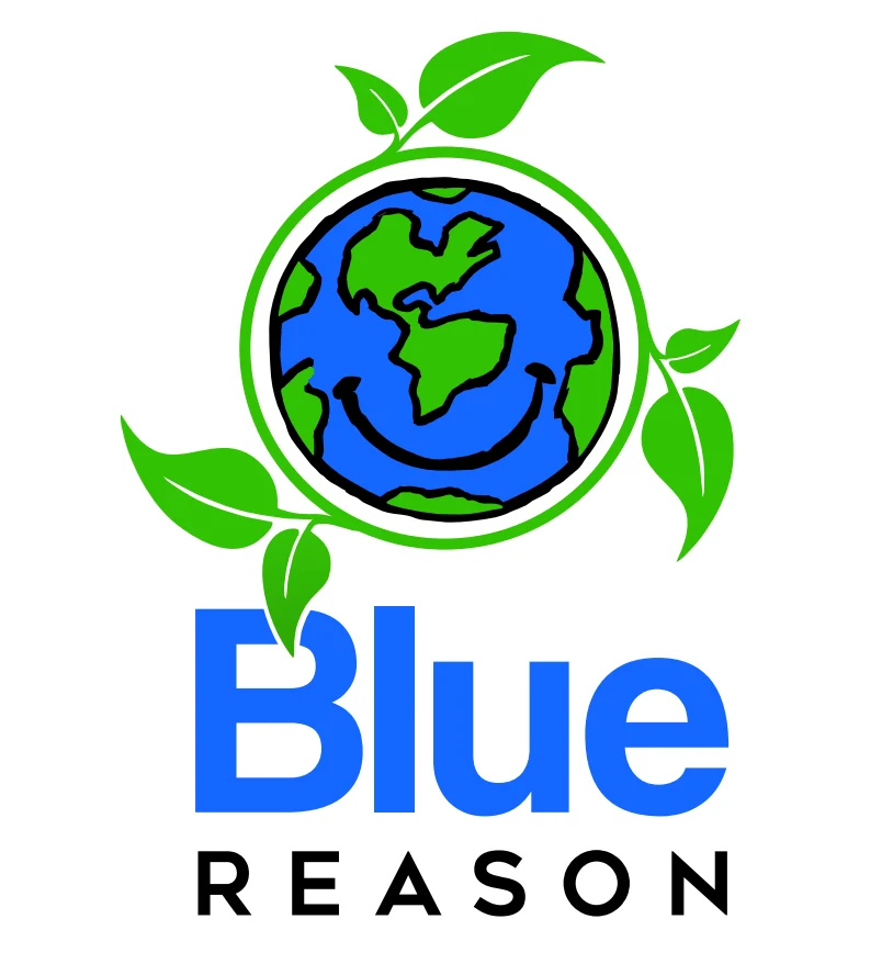 blue reason logo