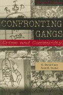 Confronting Gangs book cover