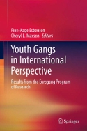 Youth Gangs in International Perspective book cover