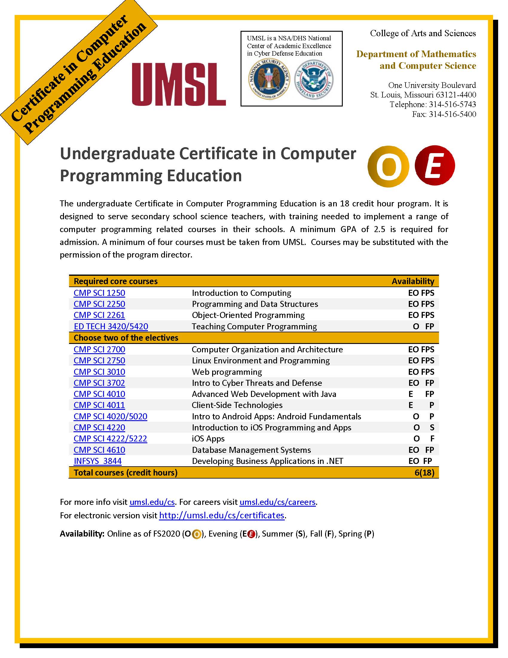 CertificateUndergraduate_ComputerProgrammingEducation_Flyer.jpg