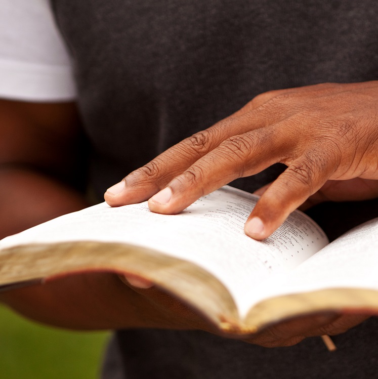 An open book held in a person's hands, with a focus on their fingers touching the pages.
