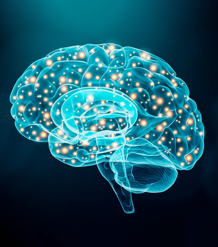 3D illustration of a glowing human brain highlighting neural connections.