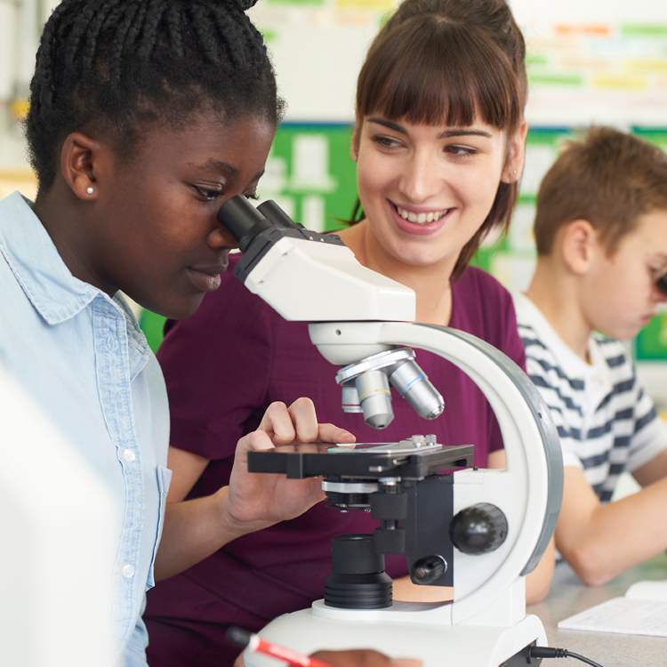 Secondary Education Secondary Education Ideal Degrees Definition Of