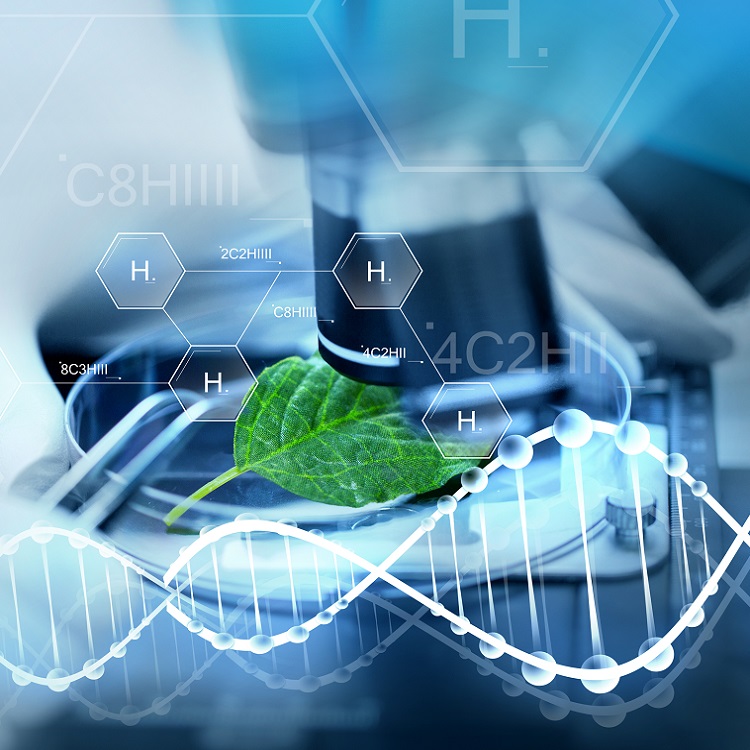 An illustration showing a leaf under a microscope, combined with molecular structures and a DNA double helix, representing plant biology and scientific research.