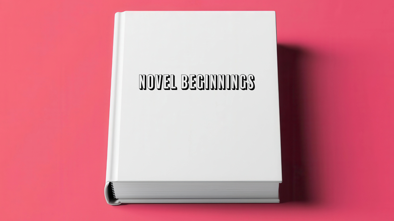 Novel Beginnings Banner