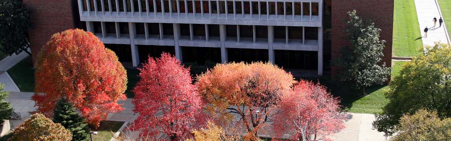 Gender studies program homepage banner image