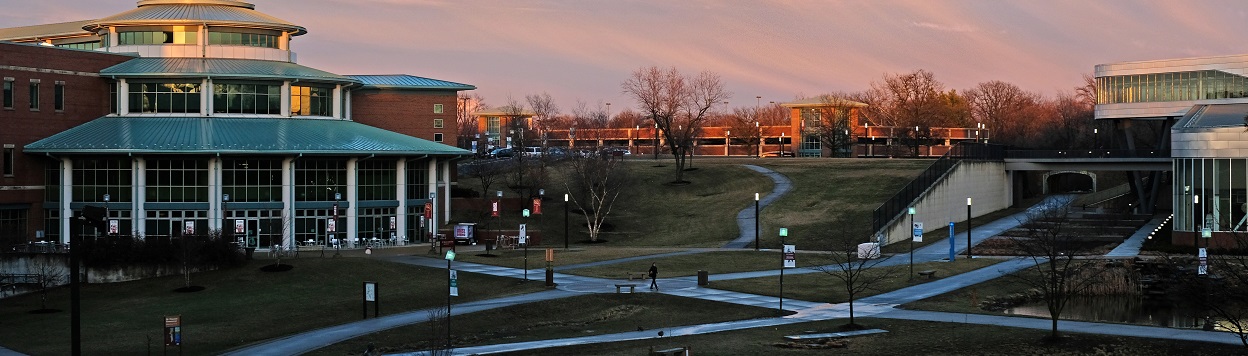 MSC in Fall at sunset