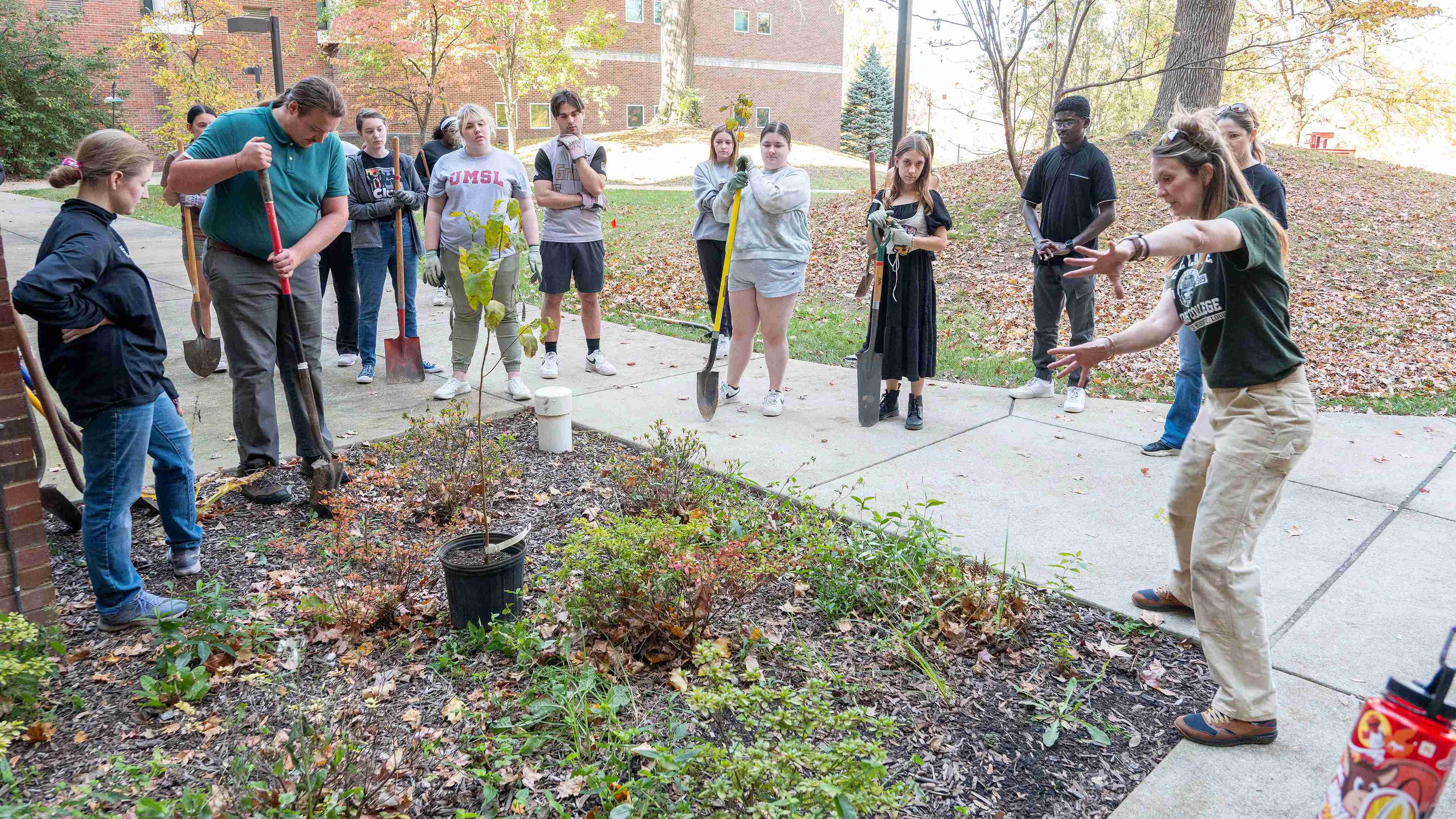 Fall Clothing Swap Collage that says Shop Sustainably