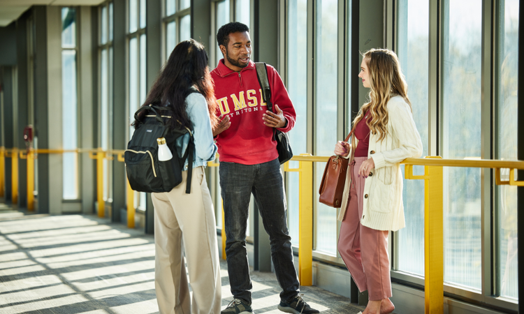 Discover Your New Hometown, St. Louis