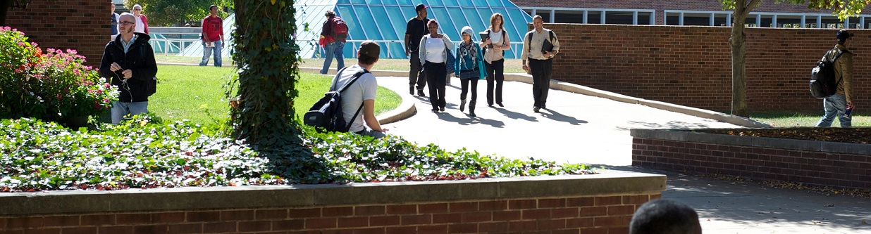 students walking on campus by the pyramid