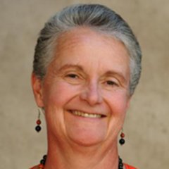 Jane Ellen Buikstra, Regents' Professor of Anthropology and Founding Director of the Center for Bioarchaeological Research