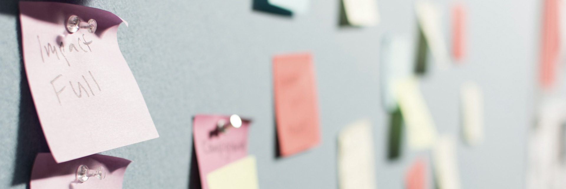 multicolor sticky notes pinned to a wall