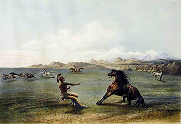 George Catlin, Catching the Wild Horse, 1844