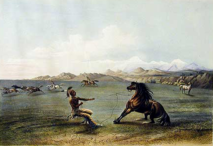 George Catlin (1796-1872) Catching the Wild Horse, 1844-45