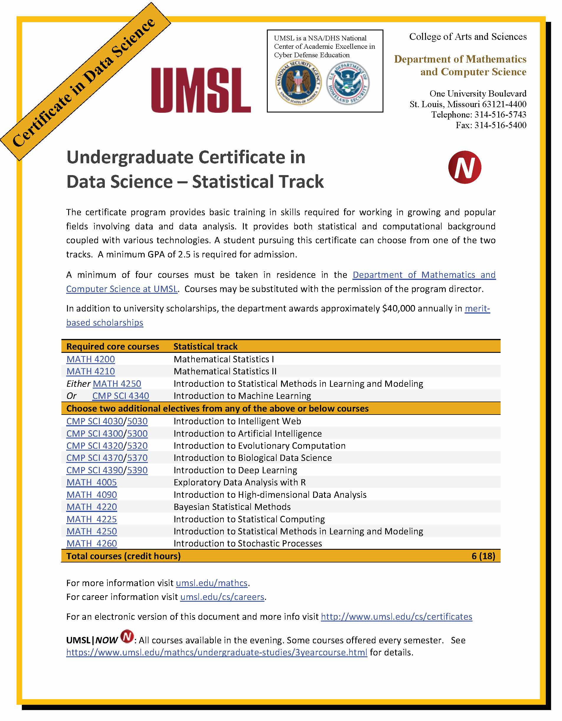 certificate undergraduate datascience flyer