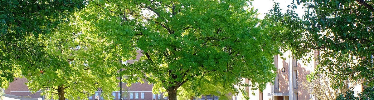quad