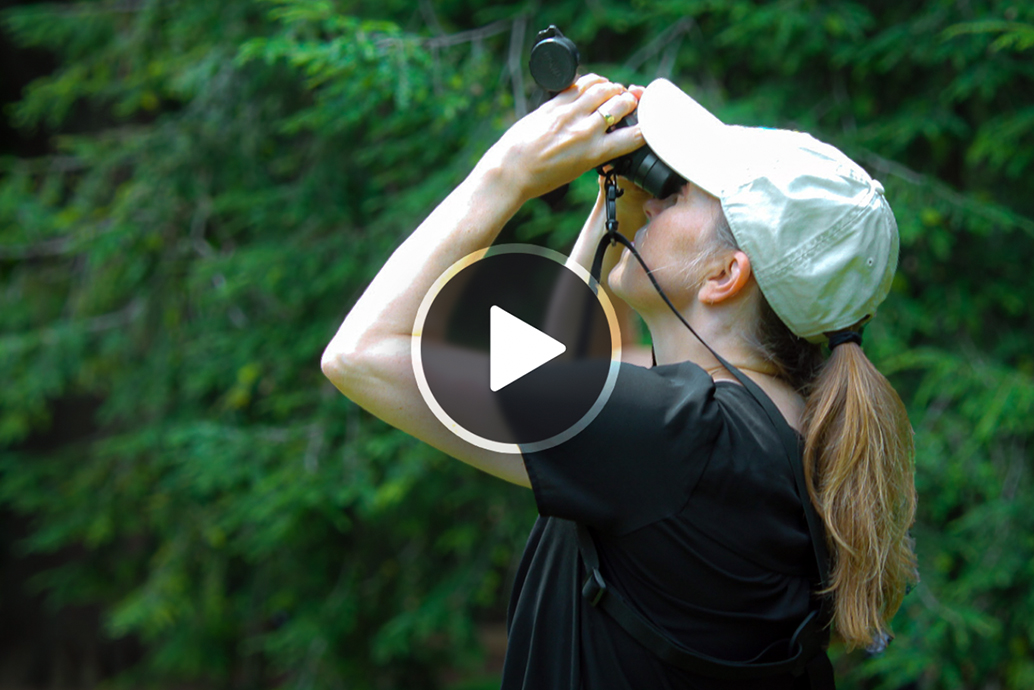Jalene LaMontagne in a baseball cap looking through binoculars outdoors with evergreen trees in the background.