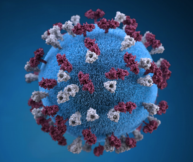 measles_virus