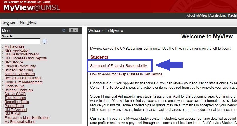 Statement of Financial Responsibility