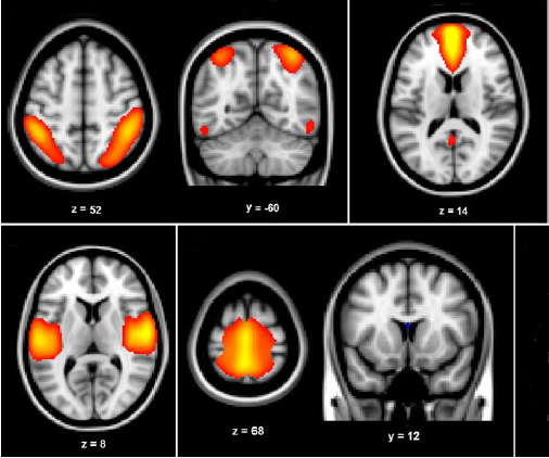 Graduate Programs | UMSL