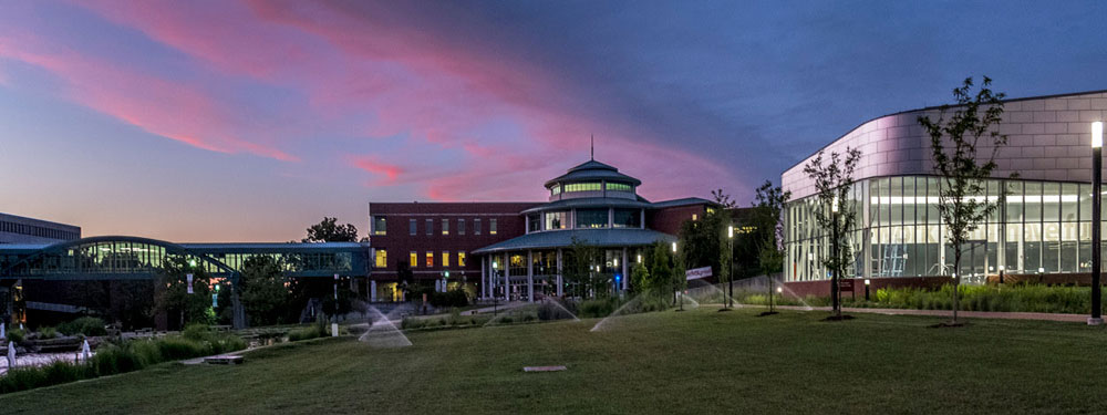 msc in evening image