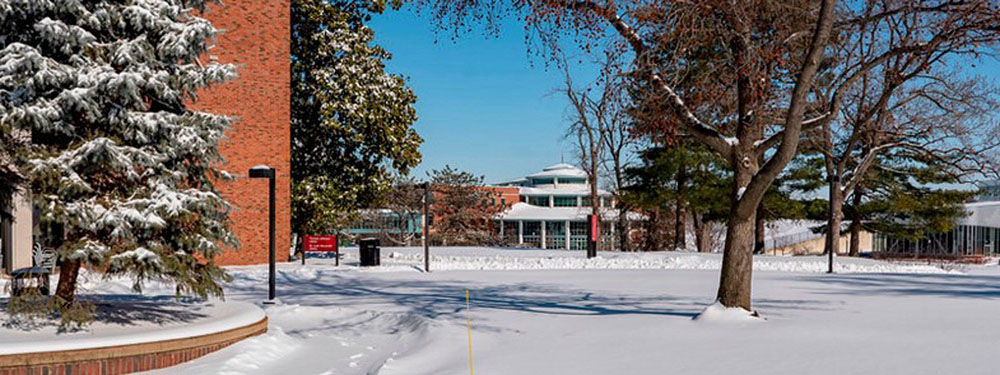 msc on a snowy day