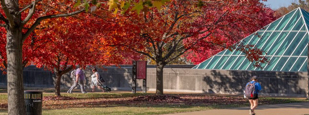 students walking on campus