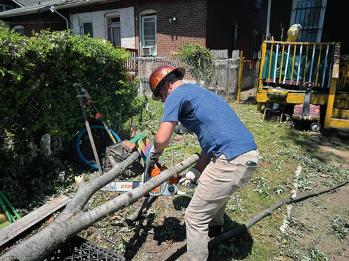 umsl employees volunteering