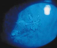 HSV.jpg (4484 bytes)