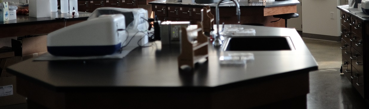 labs