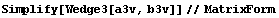 Simplify[Wedge3[a3v, b3v]]//MatrixForm