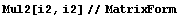 Mul2[i2, i2]//MatrixForm