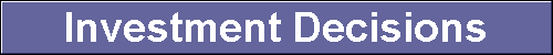  Investment Decisions 