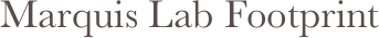 Marquis Lab Footprint