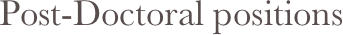 Post-Doctoral positions