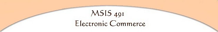 MSIS491