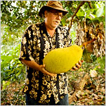 Exotic Tastes of the Big Island