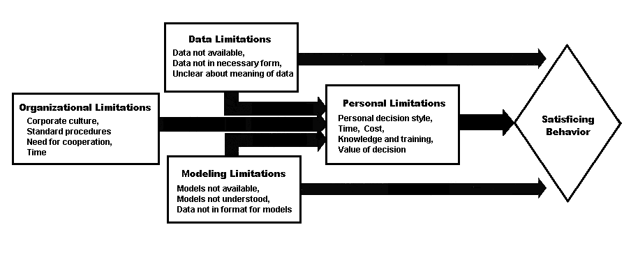 Causes of Satisficing Behavior 