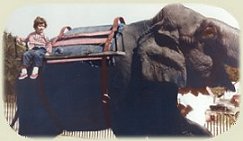 Professor Sauter on an Elephant
