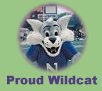 Northwestern Univeristy Willie the Wildcat