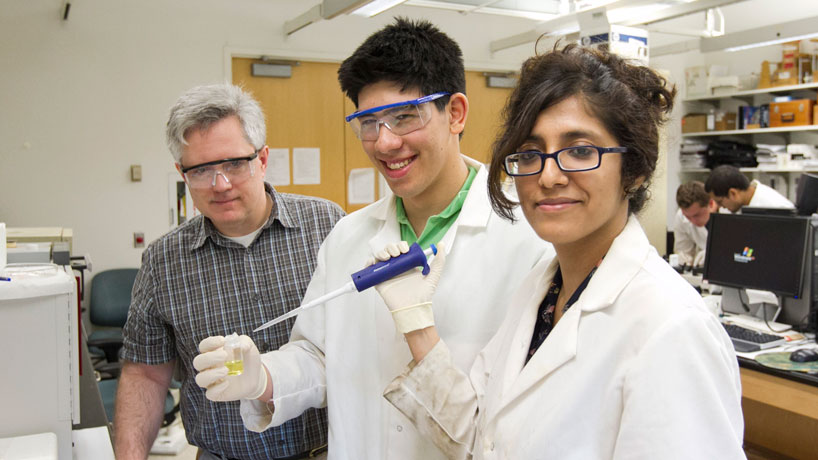 Professor of Chemistry Keith Stine (left) oversees 2013 STARS student Max Bernstein (MICDS) and his mentor Abeera Sharma (PhD chemistry 2014) as they test the materials and biochemical aspects of carbohydrates in Stine’s lab at UMSL.
