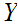 $\QTR{Large}{Y}$